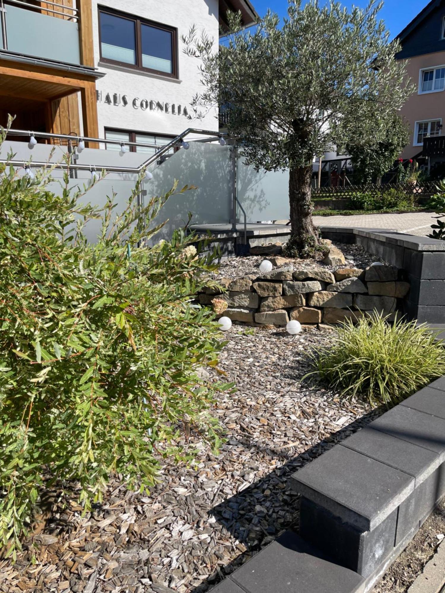 Apartmán Haus Cornelia Einruhr Exteriér fotografie